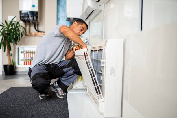 Best Professional Duct Cleaning Services  in Easton, PA